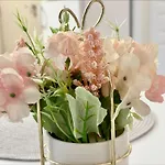 Menada Romance Marine 公寓