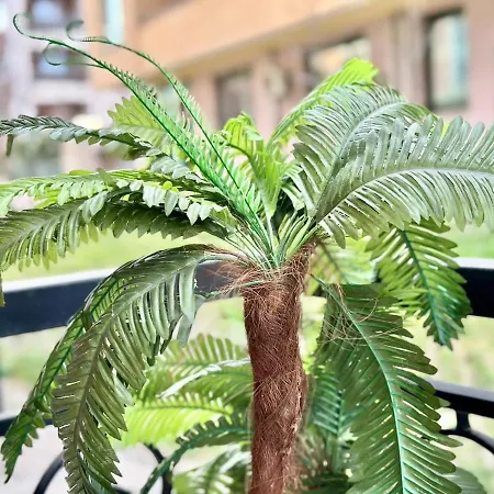 Menada Romance Marine Apartament